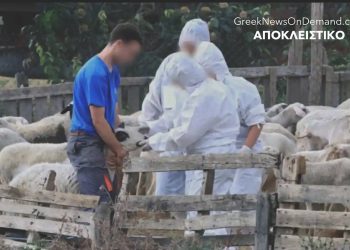 ΝΑ ΓΙΑΤΙ έχουμε ΨΕΥΤΟ-ευλογιά, όπως…ΨΕΥΔΟ-κορωνοϊό: ΜΕΓΑ ΠΡΟΣΧΗΜΑ για τη καταστροφή των πηγών τροφίμων μας βάσει ύπουλου σχεδίου του WEF! Στο κόλπο κι ο…ΜΗΤΣΟΤΑΚΗΣ κι οι προδοτική του κυβέρνηση!